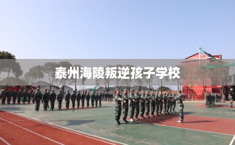 泰州海陵叛逆孩子学校