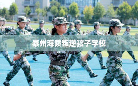 泰州海陵叛逆孩子学校