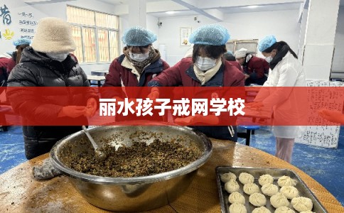 丽水孩子戒网学校