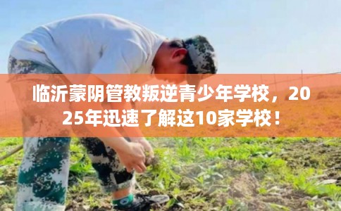 临沂蒙阴管教叛逆青少年学校，2025年迅速了解这10家学校！