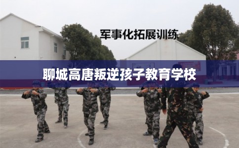聊城高唐叛逆孩子教育学校
