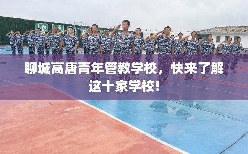 聊城高唐青年管教学校，快来了解这十家学校!