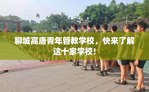 聊城高唐青年管教学校，快来了解这十家学校!