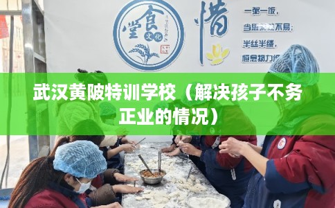 武汉黄陂特训学校（解决孩子不务正业的情况）