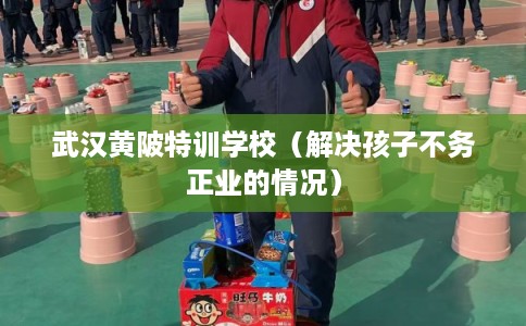 武汉黄陂特训学校（解决孩子不务正业的情况）
