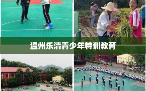 温州乐清青少年特训教育