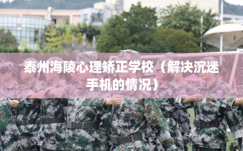 泰州海陵心理矫正学校（解决沉迷手机的情况）