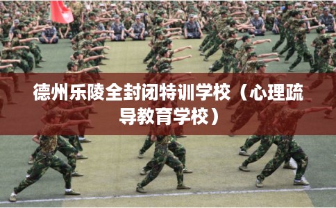 德州乐陵全封闭特训学校（心理疏导教育学校）