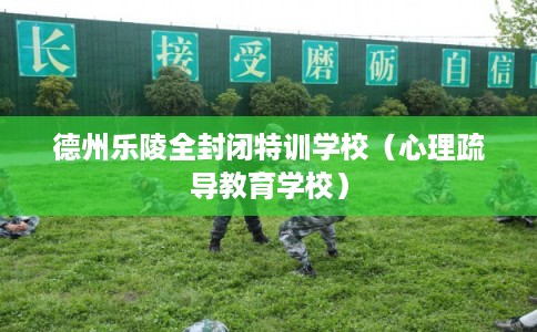 德州乐陵全封闭特训学校（心理疏导教育学校）