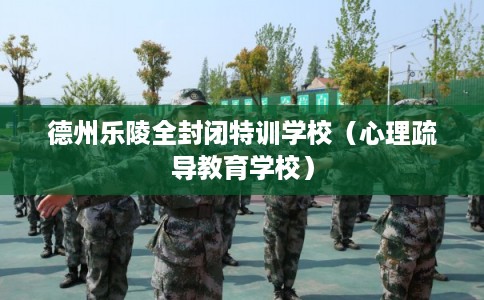 德州乐陵全封闭特训学校（心理疏导教育学校）