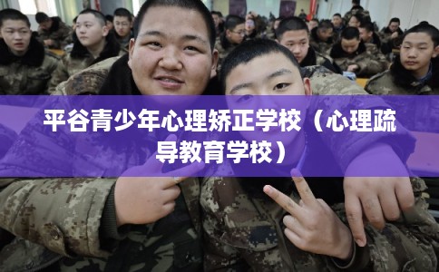 平谷青少年心理矫正学校（心理疏导教育学校）