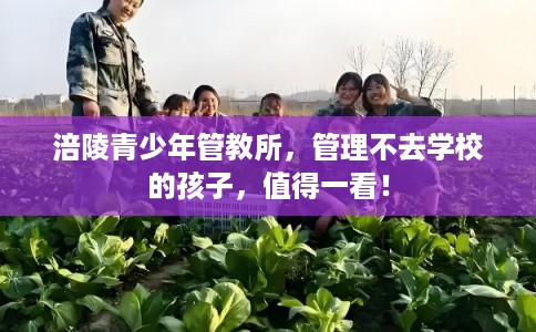 涪陵青少年管教所，管理不去学校的孩子，值得一看！