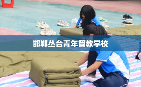 邯郸丛台青年管教学校