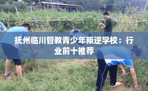 抚州临川管教青少年叛逆学校：行业前十推荐