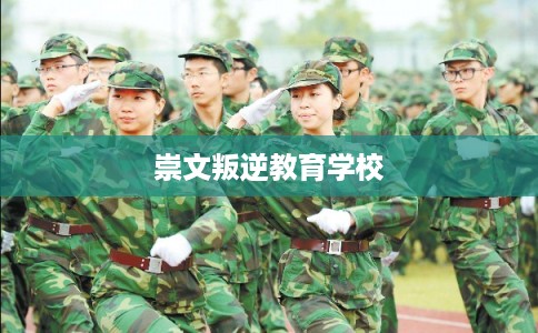 崇文叛逆教育学校