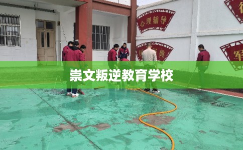 崇文叛逆教育学校