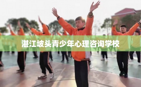 湛江坡头青少年心理咨询学校