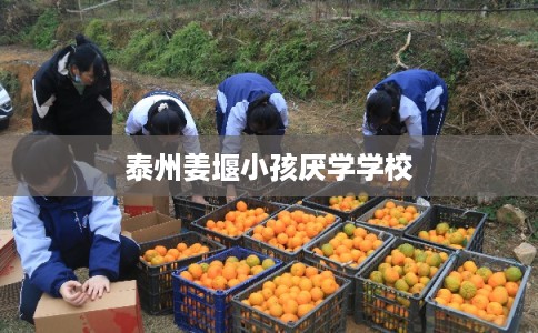 泰州姜堰小孩厌学学校