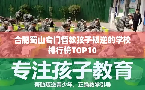 合肥蜀山专门管教孩子叛逆的学校排行榜TOP10
