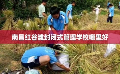 南昌红谷滩封闭式管理学校哪里好