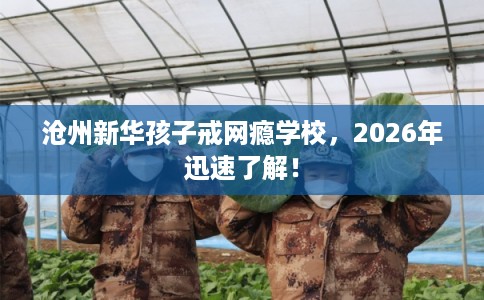 沧州新华孩子戒网瘾学校，2026年迅速了解！