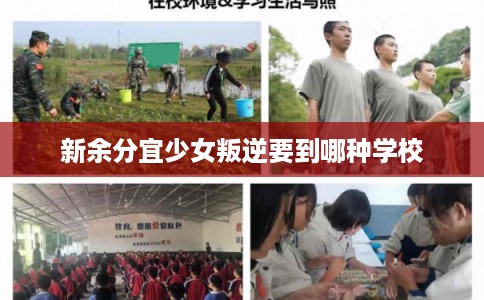 新余分宜少女叛逆要到哪种学校