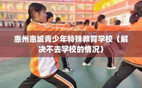 惠州惠城青少年特殊教育学校（解决不去学校的情况）