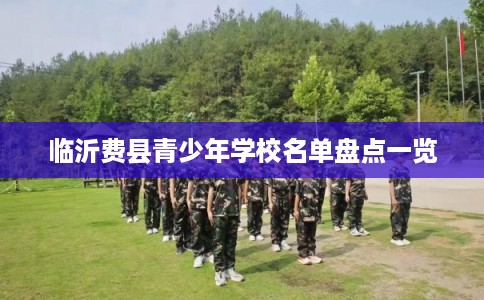 临沂费县青少年学校名单盘点一览