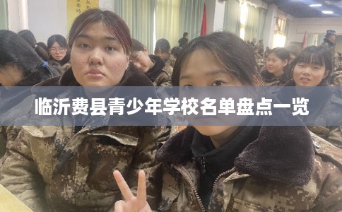 临沂费县青少年学校名单盘点一览