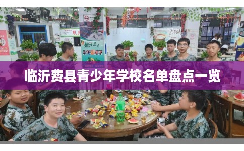 临沂费县青少年学校名单盘点一览