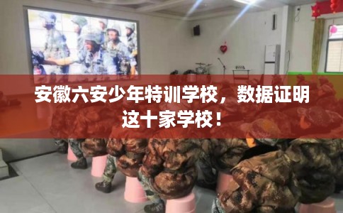 安徽六安少年特训学校，数据证明这十家学校！