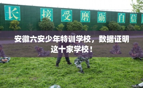 安徽六安少年特训学校，数据证明这十家学校！