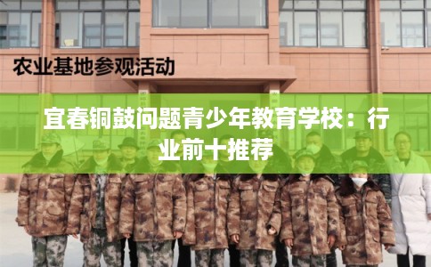 宜春铜鼓问题青少年教育学校：行业前十推荐