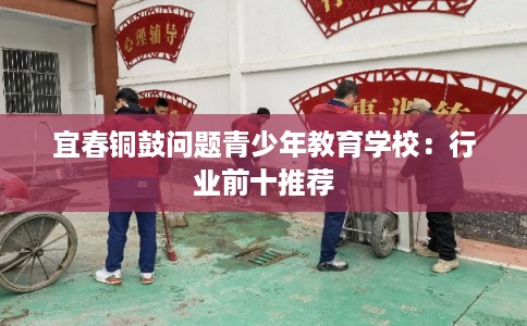 宜春铜鼓问题青少年教育学校：行业前十推荐