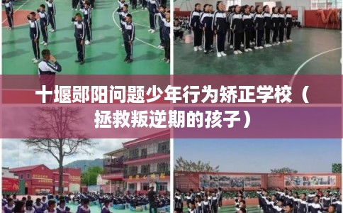 十堰郧阳问题少年行为矫正学校（拯救叛逆期的孩子）