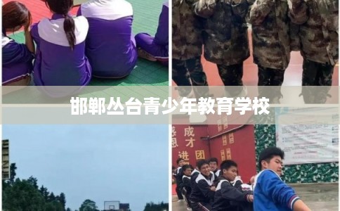 邯郸丛台青少年教育学校