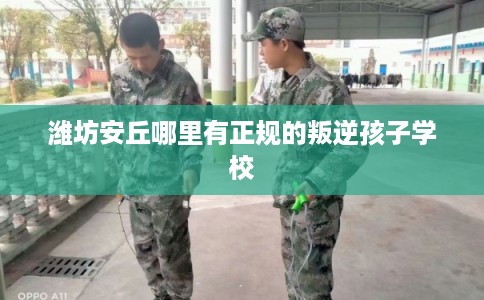 潍坊安丘哪里有正规的叛逆孩子学校