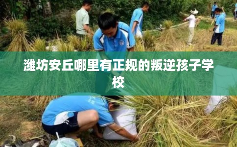 潍坊安丘哪里有正规的叛逆孩子学校