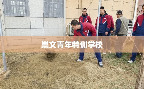 崇文青年特训学校