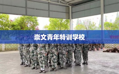 崇文青年特训学校