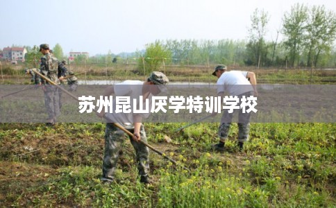 苏州昆山厌学特训学校