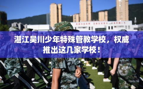 湛江吴川少年特殊管教学校，权威推出这几家学校！