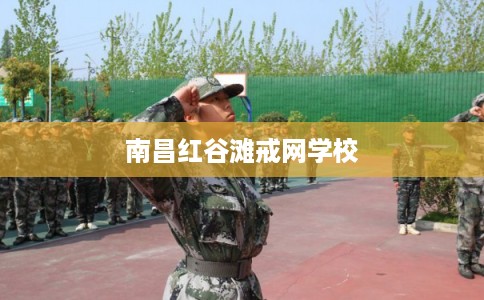 南昌红谷滩戒网学校