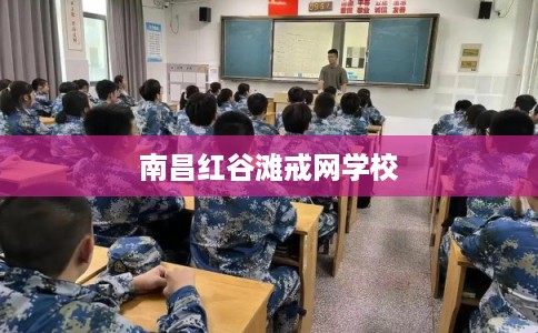 南昌红谷滩戒网学校