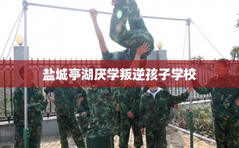 盐城亭湖厌学叛逆孩子学校