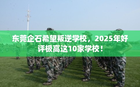 东莞企石希望叛逆学校，2025年好评极高这10家学校！