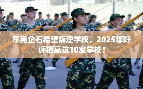 东莞企石希望叛逆学校，2025年好评极高这10家学校！