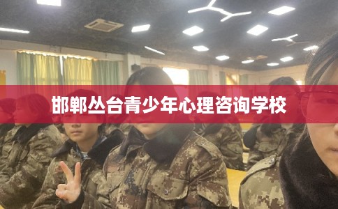 邯郸丛台青少年心理咨询学校