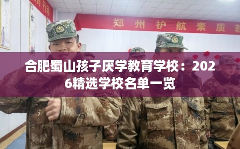 合肥蜀山孩子厌学教育学校：2026精选学校名单一览