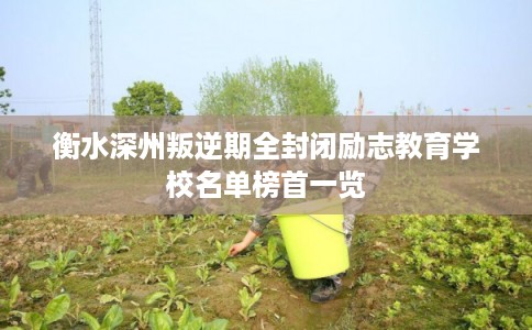 衡水深州叛逆期全封闭励志教育学校名单榜首一览